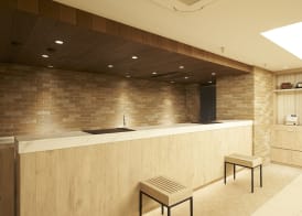 Sotetsu Fresa Inn Ginza Sanchome 5