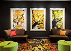 Sheraton Springfield Monarch Place Hotel 3
