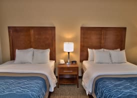 Comfort Inn Apalachin - Binghamton W Route 17 3