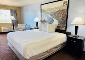 Hill Country Inn & Suites - New Braunfels / Gruene 5