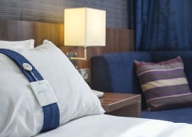Holiday Inn Express LILLE CENTRE by IHG 4