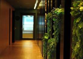 Novotel Puerto Montt 2