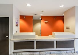 Motel 6 New Braunfels, TX 5
