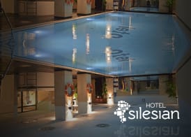 Economy Silesian Hotel 3