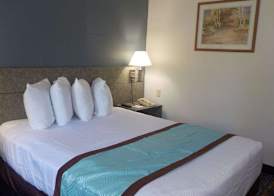 MJ INN and SUITES 2