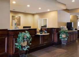 Comfort Suites Near University 3