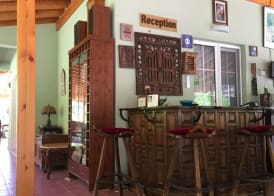 Dalya Life 2