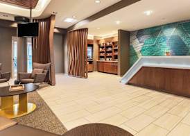 SpringHill Suites by Marriott Tallahassee North 3