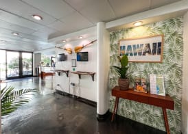 Stay Hotel Waikiki 3