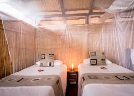 Taita Falcon Lodge 5