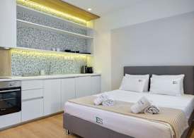 Elephant Suites 4