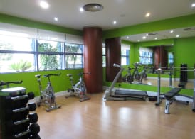 Hotel Amaltea by Executive Sport 2