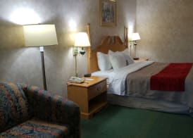 Econo Lodge Newport Smoky Mountains Gateway 5