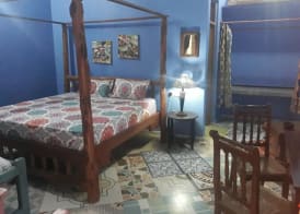 Coccobello Zanzibar 5