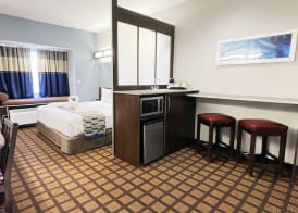 Microtel Inn & Suites by Wyndham Michigan City 5