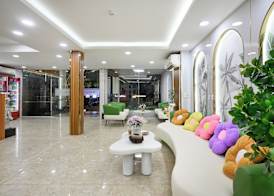Camila Airport Hotel 3