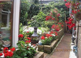 Amaryllis Guesthouse 3