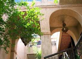 Riad Maison Palmier 5