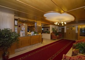 Hotel Orchidea 3
