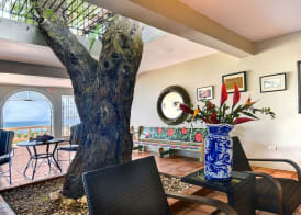 Hacienda Tamarindo 5