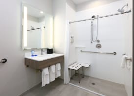 Holiday Inn Express & Suites NORTH DALLAS AT PRESTON by IHG 3