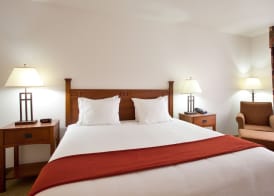 Holiday Inn Express & Suites MATTOON by IHG 5