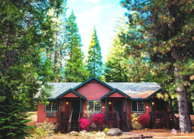 Mount Shasta Resort 4