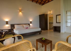 After the Rains - Rainforest Lodge 5