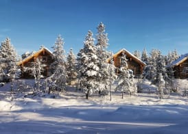 Wilderness Hotel Muotka & Igloos 5