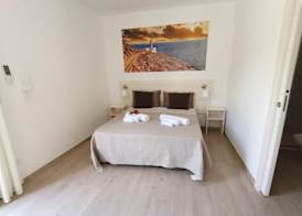 Paluna 5