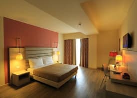 Turin Airport Hotel & Residence 4