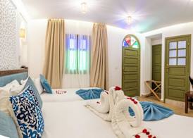 Riad Hamdane Rooftop & SPA 4