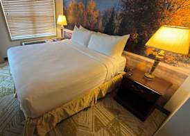 The Willowbrook Village at Lake Harmony, a Wyndham Hotel 5