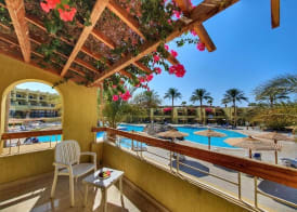Palm Beach Resort Families and Couples only 2