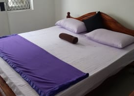 Manning Apartment 2