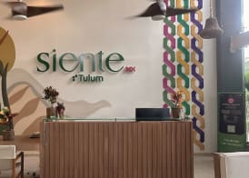 Siente Tulum Hotel & Cenote Club 2