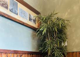 Tuckers Inn 2