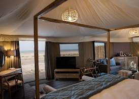 Kingfisher Retreat by Sharjah Collection 3