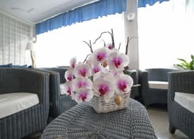 Hotel Villa Rosa 3