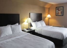 Quality Inn & Suites Cincinnati Uptown Norwood 3