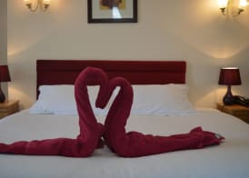 The Globe Hotel 2