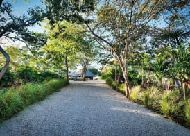 Mikado Natural Lodge 2