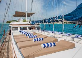 Akoya Pearl 5
