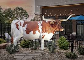 Hampton Inn & Suites Dallas-DFW ARPT W-SH 183 Hurst 2