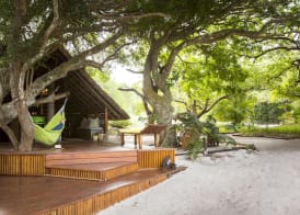Kosi Forest Lodge 2