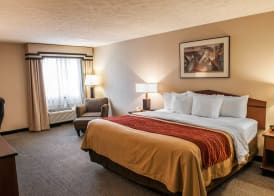 Comfort Inn Indianapolis South I-65 5