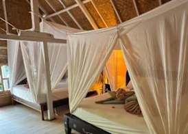 Buena Vibra Bungalows with Quiet Garden 3