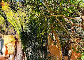 Les Jardins D'Issil Maison d'Hôtes 2