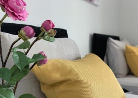 Buccleuch Apartment 5