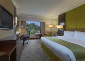 Holiday Inn SINGAPORE ORCHARD CITY CENTRE by IHG 4